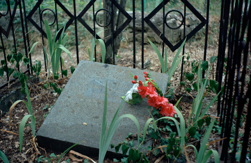 "plane - train - woman - sanatorium - cemetery" (Russland - Ukraine, 2013)